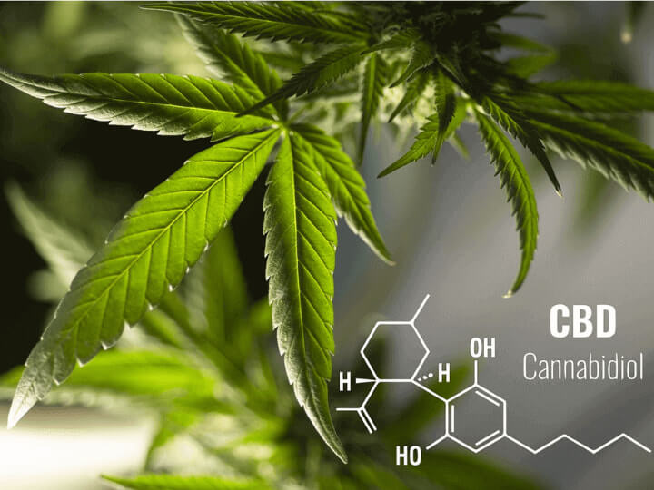 Understanding CBD